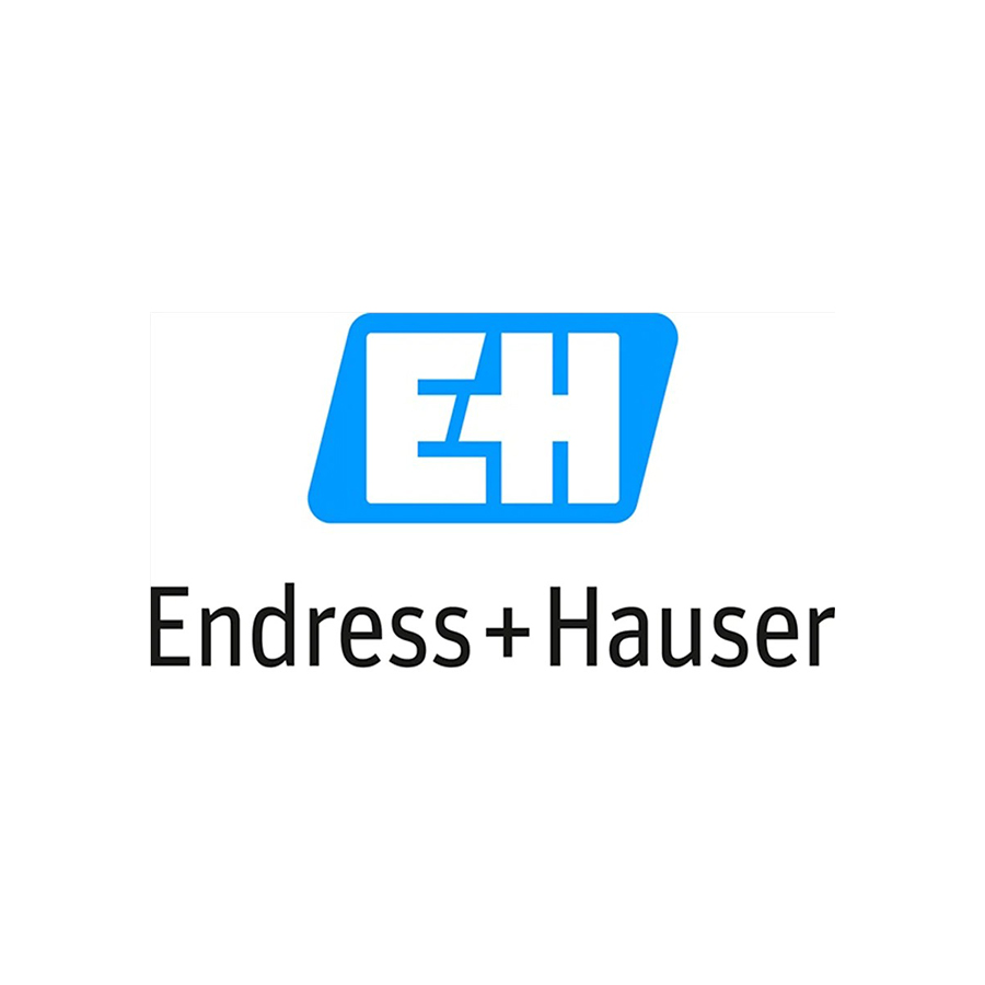 Endress-Hauser